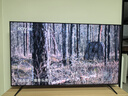 TCL电视 75Q9L Pro 75英寸 QD-Mini LED 蝶翼星曜屏 万象分区 绚彩XDR4500nits 超薄 国家补贴20% Q9K 实拍图