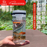 卫辞抓鱼瓶儿童抓鱼神器捕鱼捞鱼神器倒须不漏户外塑料抓鱼工具 【升级配重螺母】加大号 （配约12米绳子+2包饵料+地插） 实拍图