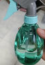 喷壶浇花浇水喷雾器气压式喷水壶家用园艺养花500ml 南瓜喷壶透蓝【1个装】 实拍图