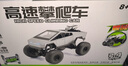 凯乐斯（KAILESI）赛博皮卡沙滩车2.4G遥控车越野车攀爬车男孩玩具儿童生日礼物 实拍图