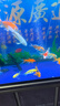 BIOZYM百因美鱼缸净水剂水族箱鱼池水质澄清剂观赏鱼养鱼用品清水剂 实拍图