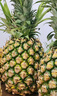 京鲜生  海南金钻凤梨 4粒装 单果2斤起 生鲜水果 实拍图