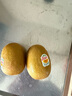 佳沛（zespri）新西兰  阳光金奇异果16粒礼盒经典果单果约 77-103g 水果 猕猴桃 实拍图