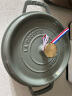 珐宝（staub）法国进口珐琅铸铁锅双耳煲汤锅烹饪锅具尤加利绿色22cm 1025321 实拍图