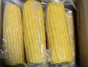 佳农 东北水果玉米棒6袋*220g 真空包装 开袋即食 可烘培 源头直发 实拍图