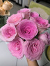 云南鲜花批发品质玫瑰百合水养鲜切花送女友生日礼物源头直发 香槟（蜜桃雪山）-20支 【任选2件—不收运費】 实拍图