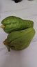 云南佛手瓜新鲜整箱丝瓜洋瓜寿瓜丰收瓜孕妇宝宝蔬菜 3斤 实拍图