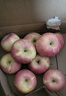 【已售万单】 源头果园冰糖心苹果 红富士苹果 新鲜脆甜水果 约10-14枚 单果130g起丨净4.5斤 实拍图