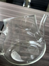 葫仙玻璃泡茶壶耐热耐高温加厚玻璃壶办公家用电陶炉煮茶壶水壶 400ml单壶 实拍图