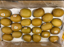 佳沛（zespri）新西兰  阳光金奇异果10粒礼盒巨大果单果约144-175g 水果 猕猴桃 实拍图
