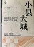 小县大城 基层视角下的中国政治与经济互动 透过县域 读懂中国 中国人民大学周立 罗建章著 县域经济 县域治理 基层治理 地方政府 政策制定 小县城 大中国 实拍图