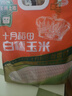 十月稻田 白糯玉米 4.16斤(260g*8根) 东北甜黏玉米棒 早餐苞米 实拍图