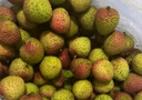 【产地直采】妃子笑荔枝1.5kg（单果16g起） 实拍图