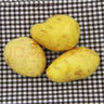 新土豆约500g 实拍图
