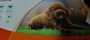 福来恩(FRONTLINE)小型犬去跳蚤蜱虫驱虫药 进口滴剂原研药0.67ml*3支装 实拍图