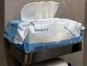 舒洁（Kleenex）羊驼湿厕纸80抽*10包 (800抽)清洁湿纸巾私处清洁EDI纯水 实拍图