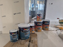 多乐士（Dulux）全能卫士无添加底漆 内墙乳胶漆 油漆涂料墙面底漆A914-65660 15L 实拍图