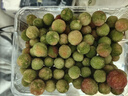 梦茜儿顺丰 新鲜杨梅 10斤青红酸甜梅贵州现摘土杨梅农家生鲜特产泡酒 5斤东魁冻杨梅 顺丰 实拍图