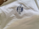 JEANSWEST LIFE真维斯纯棉长袖t恤男春秋新款小胸标印花打底衫青少年220g上衣男A 实拍图
