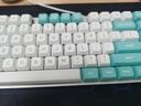 CHERRY樱桃KC200机械键盘 办公游戏两用键盘 电脑键盘机械 蓝白拼色客制化键盘  PBT键帽 有线键盘 红轴 实拍图