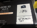 佳能（Canon）EOS 6D Mark II 6D2全画幅 专业单反相机 L级24-105标准镜头套装（约2620万像素/4K延时视频短片） 实拍图