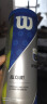 Wilson威尔胜大师赛通用网球比赛3只一罐【球面数字随机】 WR8208802001 实拍图