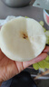 《顺丰包邮》正宗砀山青皮翠冠黄冠梨整箱新鲜水果江浙沪皖明日达 九斤大果整箱包装 人工现摘现发精挑细选 实拍图