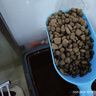 麦富迪狗粮藻趣儿15kg 成犬中大型小型犬通用牛肉螺旋藻 金毛泰迪柯基 实拍图