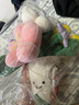 京东鲜花玩偶花束生日礼物送女友闺蜜儿童女孩中考祝福礼物毕业送同学老师 实拍图