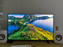 LG C5 电视2025年新品42/48/55/65/77/83英寸OLED屏幕智能游戏电视AI音画调节薄4K高清电视【浙江】 42英寸 新能效C5【电竞高刷低延迟】 实拍图
