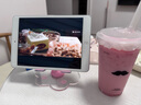 Apple苹果 iPad Air1/Air2/Air3 迷你mini2/4/5 二手平板电脑ipad iPad mini2 32G WiFi版 95成新 实拍图