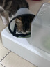 欢宠网伊丽莎白圈猫宠物狗猫咪狗狗绝育软项圈头套脖套防舔防咬脖圈耻辱 实拍图