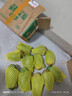 集南鲜 金煌芒 百色芒果当季广西大青皮黄皮大芒果新鲜水果甜心芒果送礼 净重8.5-9斤特级（250g起）推荐 实拍图