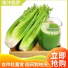 京鲜生山东榨汁大西芹新鲜蔬菜净重9斤单颗800g+源头直发包邮 实拍图