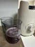 蓝宝（BLAUPUNKT）榨汁机原汁机家用【NFC液体沙拉机】渣汁分离全自动大口径水果蔬菜榨豆浆机高出汁好清洗国家补贴 实拍图
