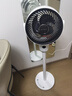 艾美特（AIRMATE）【小暴风语音】空气循环扇大风量电风扇家用小型落地扇升级加高电扇轻音柔风小风扇 FA18-SR160 实拍图
