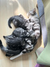 曼赤肯处方罐头猫咪绝育产后术后恢复泌尿营养流质猫狗罐头 【流质】猫犬A/D处方罐(术后产后恢复) 80g*3罐 实拍图