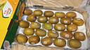 佳沛（zespri）新西兰  阳光金奇异果25-27粒原箱特大果单果约122-146g  猕猴桃 实拍图