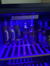 先科（SAST）冰吧冷藏柜 欧式恒温红酒柜酒店家用电冰箱迷你小型单门办公室电竞保鲜展示留样茶叶饮料药品柜 265升（全冷藏保鲜+蓝光灯+风冷） 实拍图