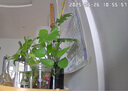 360摄像头9pro 高清400万像素微光全彩家用监控手机远程双向通话360度旋转婴儿看护器 实拍图