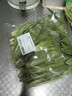 油麦苗250g(长度≤25cm) 实拍图