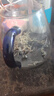 神农金康 莓茶60g特级野生张家界降三月新茶高山霉茶非湖南永顺莓茶藤茶 实拍图