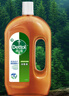 滴露（Dettol）洗衣消毒液衣物消毒水750mL除螨 家居宠物地板杀菌 非84酒精 实拍图