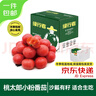 绿行者（GREER）粉番茄净重3斤 单果130g+ 约8-11枚 西红柿 源头直发 实拍图