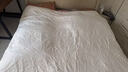 蚕花娘娘【丝路传奇】100%桑蚕丝被子夏凉薄被芯 丝重2斤200*230cm【白】 实拍图