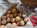 果夫子 185手剥纸皮生核桃5斤休闲原味零食箱装阿克苏薄皮核桃新疆坚果 实拍图