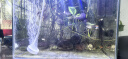 森森（SUNSUN）鱼缸增氧泵水族箱氧气泵家用小型充氧泵 3W单孔+35mm单细化套餐【气泡更细腻】 实拍图