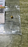 天鑫洋黄金/足金999.9 小金瓜子 约1克（带瓶子） 实拍图