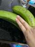 精品云南香蕉高山香蕉现摘新鲜水果甜生青香蕉banana自然熟绿皮 精品高山蕉 2斤 实拍图