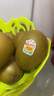 佳沛（zespri）新西兰  阳光金奇异果25-27粒原箱特大果单果约122-146g  猕猴桃 实拍图